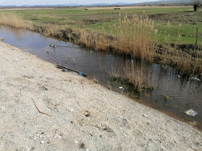 Pârâul în care a căzut fetiţa FOTO ISU Braşov