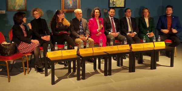 Stelian Bujduveanu conferinta Art Safari jpg