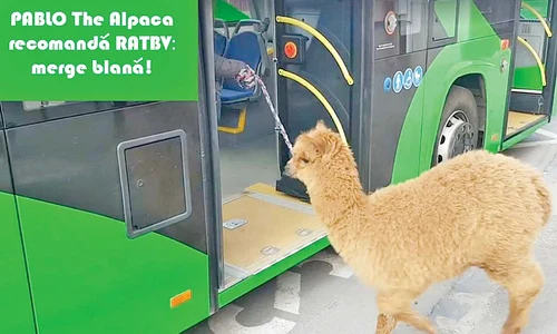 pablo4 actu pablo jpeg