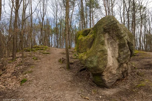 tronul strabunilor foto lucian ignat