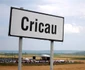 cricau festival cetati dacice foto lucian muntean 001 0 JPG