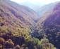 Cetatea colt foto Daniel Guță ADEVĂRUL jpg