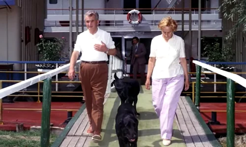 Corbu și Șarona, cei doi labradori ai cuplului Ceaușescu