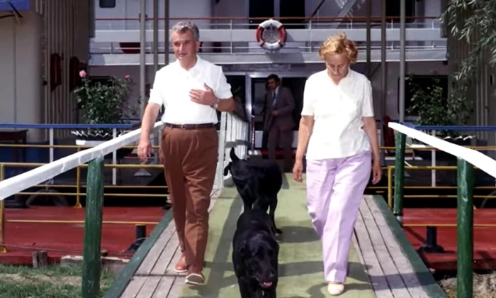 Corbu și Șarona, cei doi labradori ai cuplului Ceaușescu