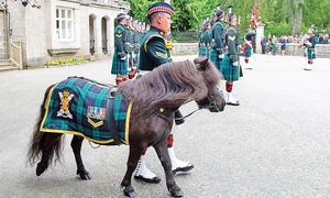 23 foto9 135 90 profimedia 0462676980 0 jpeg