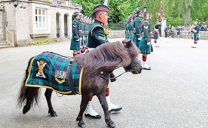 Regina Elizabeth II a fost întâmpinată la Castelul Balmoral de Regimentul Scoțian