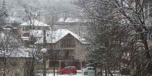 ninsoare mures