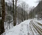 Valea Anineșului Drumul spre Fața Cetei (20) jpg