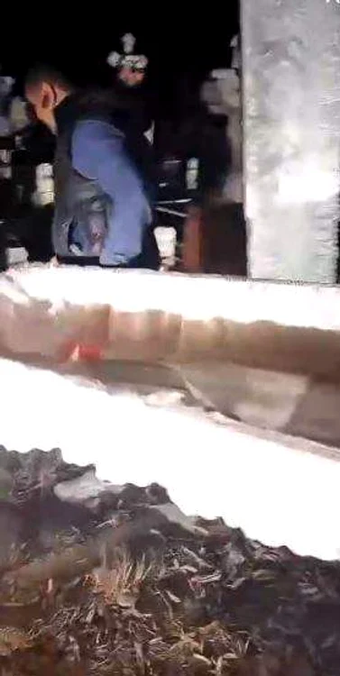 Prietenii femeii au luat parte la spectacolul grotesc