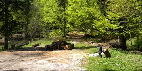 Dacian Popa este consilier al Inspectoratului de Regim Silvic şi de Vânătoare Ploieşti. Foto Adevărul Ploiești