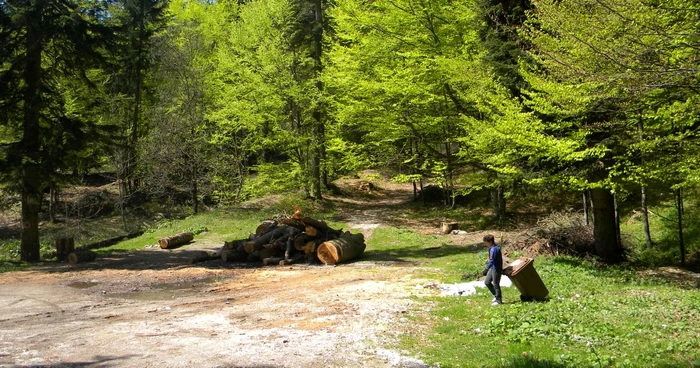 Dacian Popa este consilier al Inspectoratului de Regim Silvic şi de Vânătoare Ploieşti. Foto Adevărul Ploiești