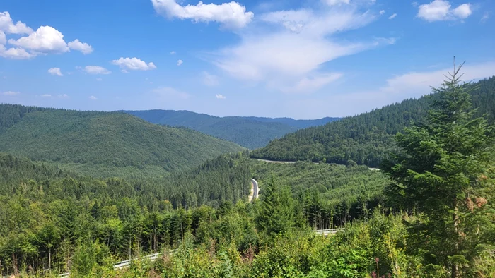 Drumul oferă priveliști de o frumusețe rară. FOTO Click!
