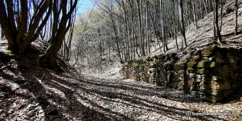 manastirea plosca si valea plostii foto daniel guta adevarul