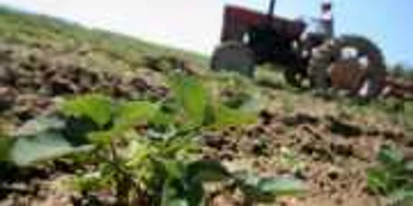 Boc speră că România va deveni ţară exportatoare de produse alimentare