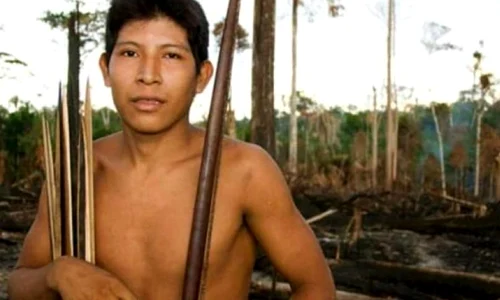 "Ne omoară pe capete!" Strigătul de ajutor al celui mai ameninţat trib din lume jpeg