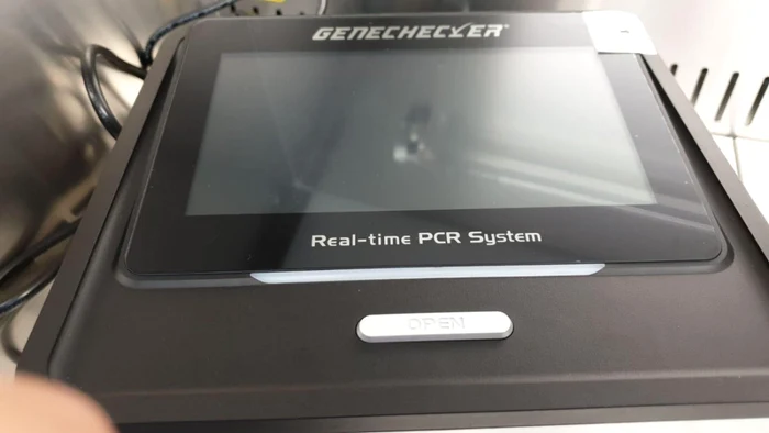 Real Time PCR