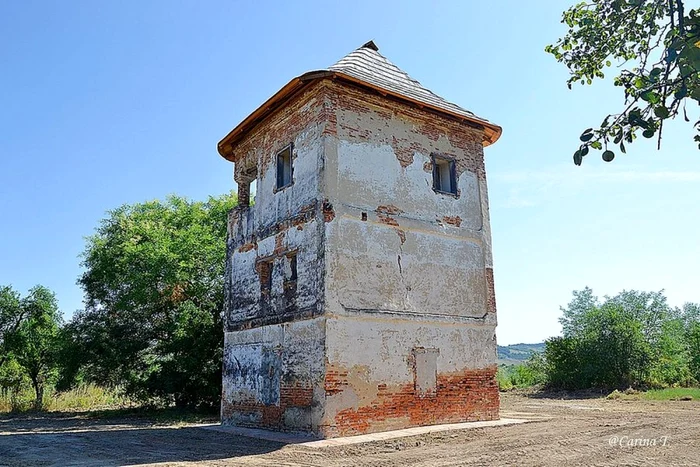 Uşa monumentului a fost smulsă                                                                           FOTO: Carina Tătăranu