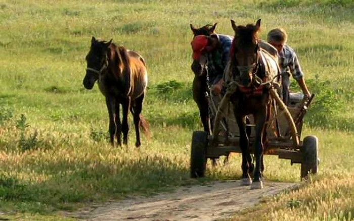 Mai mult de jumătate dintre locuitorii judeţului Bistriţa-Năsăud locuiesc în mediul rural FOTO: zvoner.ro