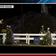 Bradul prabusit de la Casa Albă CAPTURA FOX NEWS png