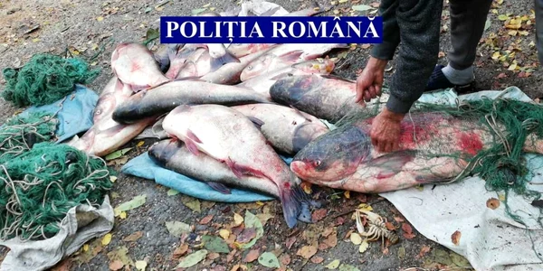slobozia peste