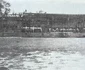 buzau