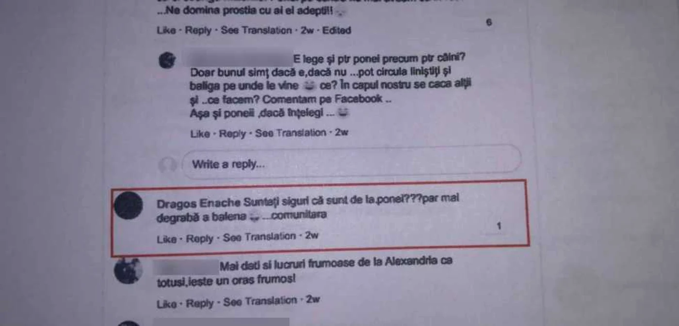 Unul dintre printscreen-urile din citaţie