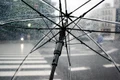umbrella 4425160 1280 jpg