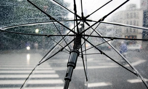 umbrella 4425160 1280 jpg