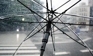 umbrella 4425160 1280 jpg