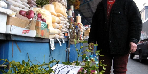 Crenguţele de vâsc aduc noroc în casă 