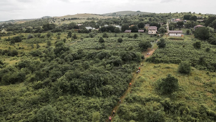 Via Soarelui traversează podgoria Dealu Mare Foto: Mircea Crisbășanu