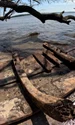 Epava vasului de corsari spanioli La Fortuna (© ECU Program in Maritime Studies)