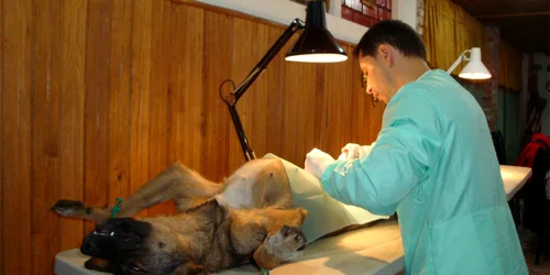 S-au efectuat operaţii timp de 12 ore