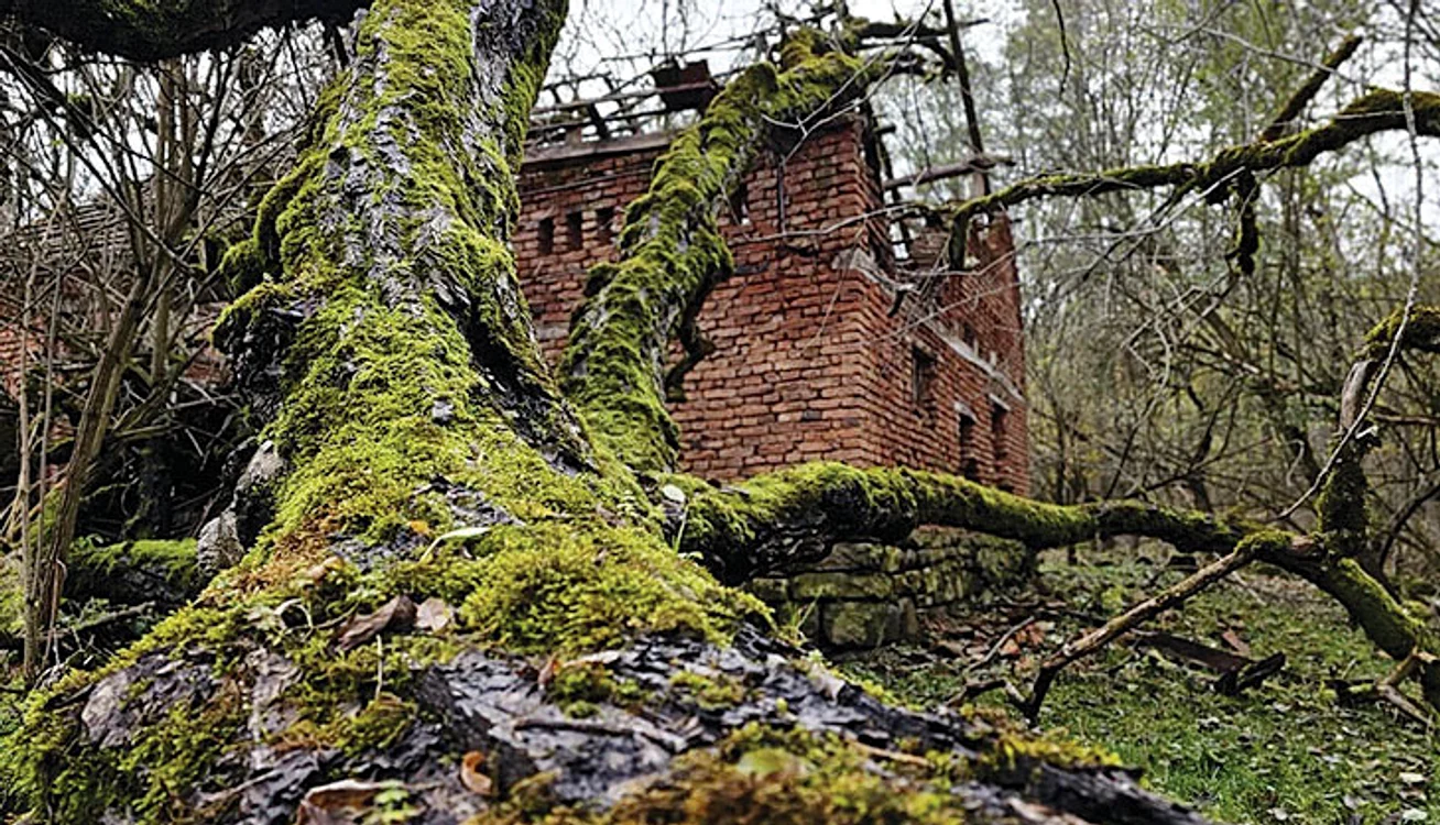 Gospodăriile  de odinioară  se află în ruină. Foto: adevarul.ro