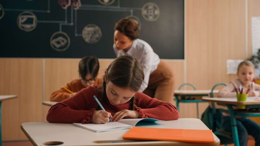 Scrisoarea unei eleve olimpice către ministrul Educației: „Oare elevii își vor mai dori să rămână în țară?”