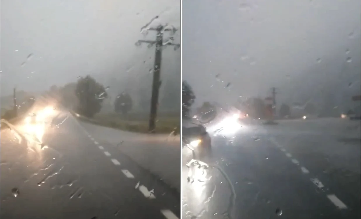Trafic blocat pe Valea Oltului - Vâlcea din cauza unui copac doborât de vijelie pe carosabilul DN7 - avertizare de Cod Roşu de vreme rea Foto colaj