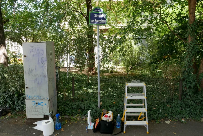 Trusa de curățenie a lui Iulian include soluții, o scară și echipament de protecție.