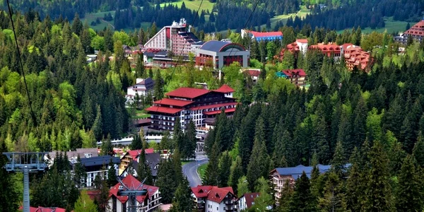 poiana jpg