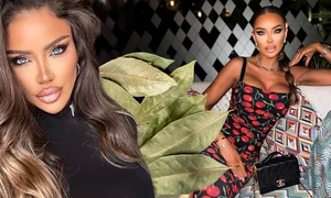banner bianca dragusanu jpg