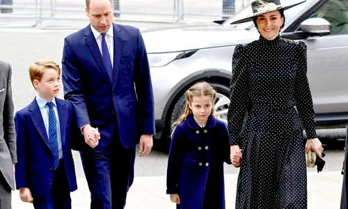 1 profimedia 0673792565 jpg jpeg