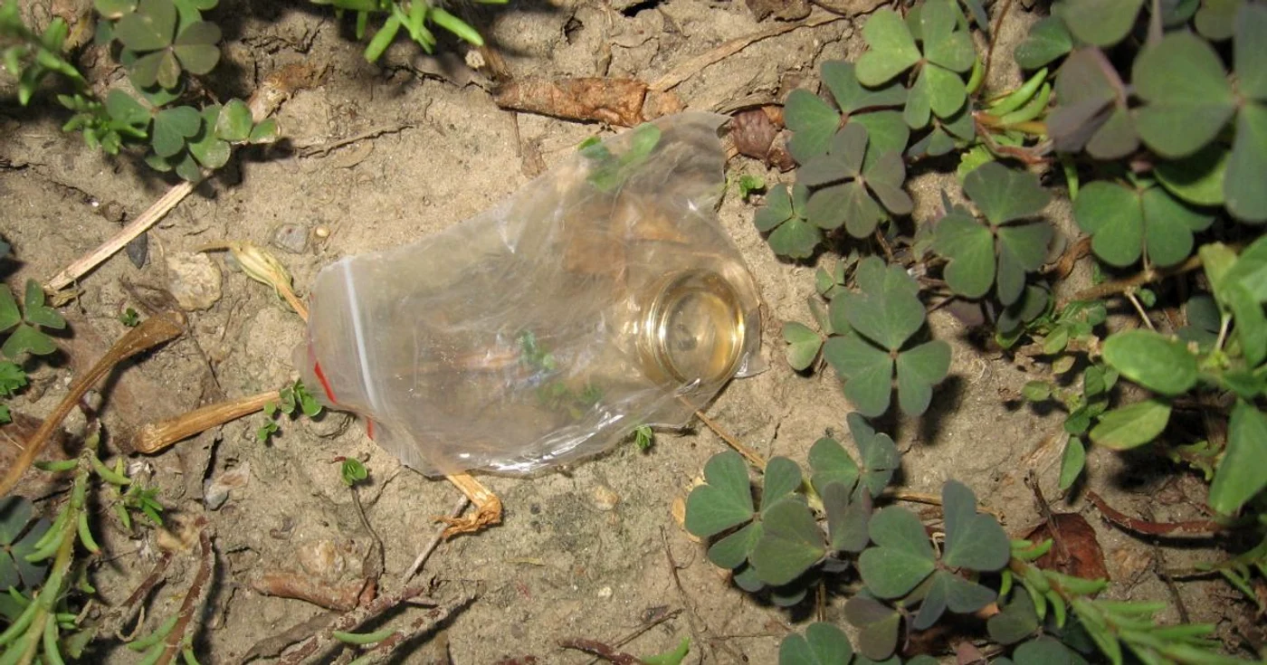 Bijuterii din aur ascunse în pământ, furate de gruparea condusă de un elev