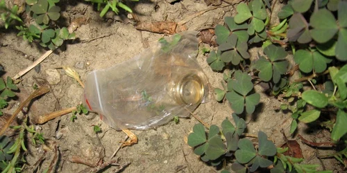 Bijuterii din aur ascunse în pământ, furate de gruparea condusă de un elev