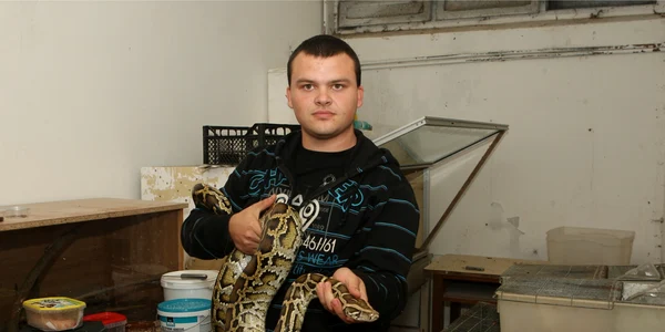 Cristian Gînga şi pitonul birmanez care are o lungime de 3,5 metri