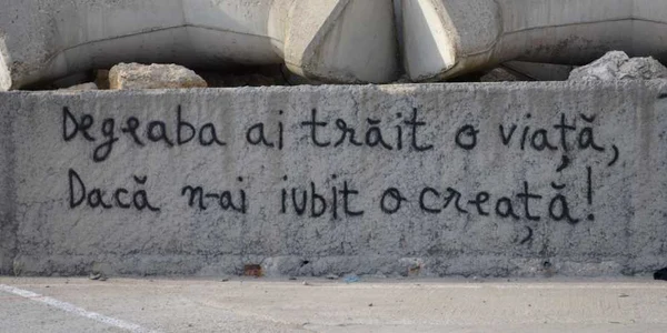 Mesaj iubire pe dig in portul Constanta. FOTO Adrian Boioglu