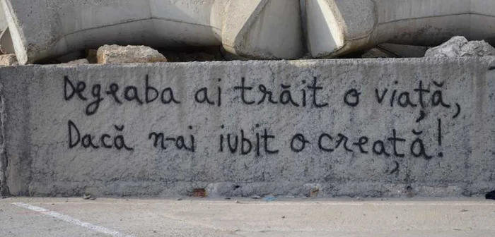 Mesaj pentru iubita lui, o creaţă. FOTO Adrian Boioglu
