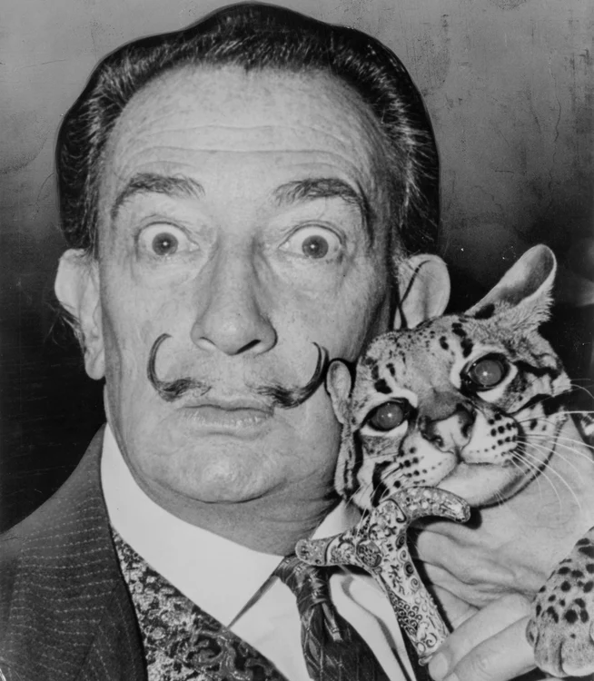 Salvador Dali NYWTS jpg jpeg