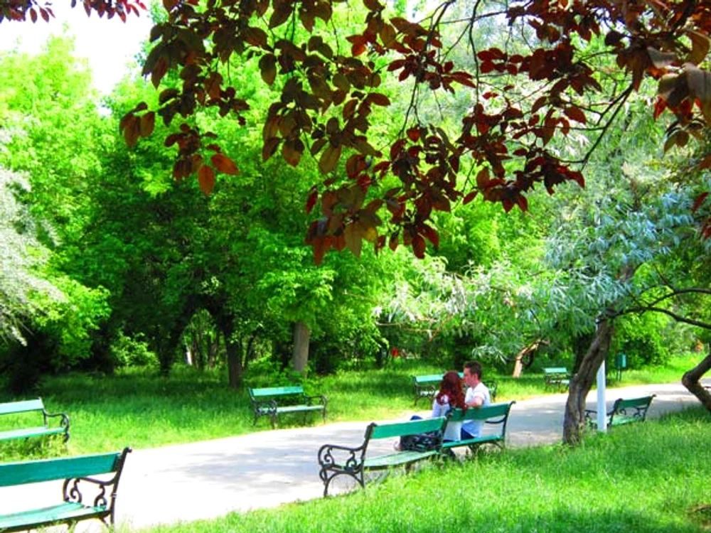 În următoarele zile vremea rămâne la fel de călduroasă, dar vor fi condiţii de ploaie Foto: Click!