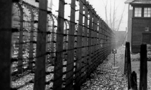 Imagini filmate de Alfred Hitchcock în lagărele naziste, difuzate în premieră jpeg