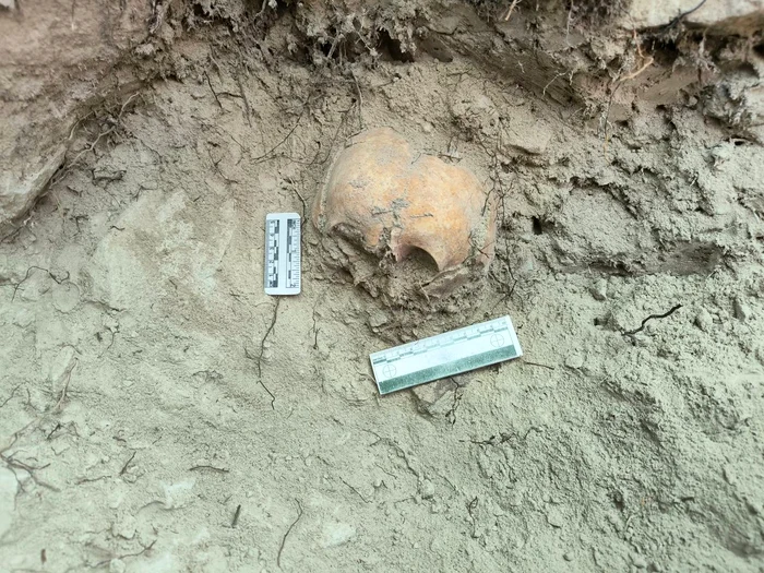 Cercetări arheologice la Buridava – Campania 2025 (© Facebook / Constantin Barbulescu)