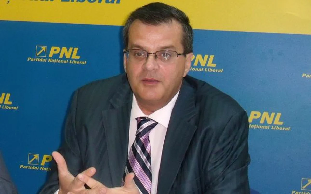 
    Nini Săpunaru  
